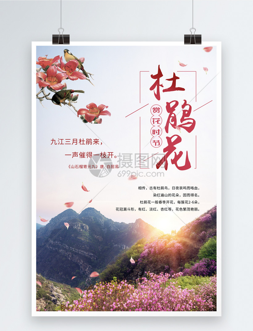 简洁杜鹃花海海报