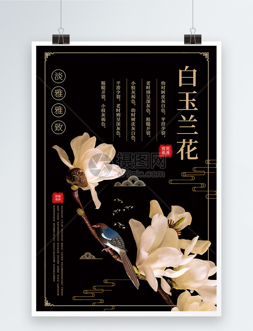 简洁中式风白玉兰花宣传海报