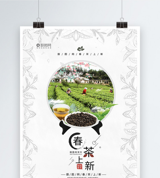 小清新春茶上新海报模板图片