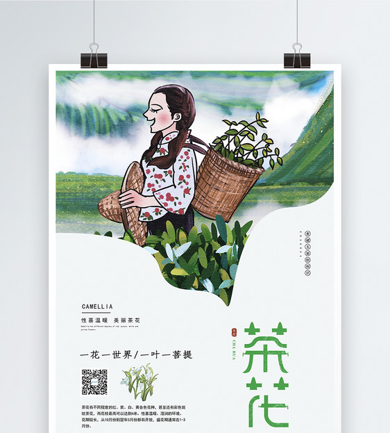 茶花海报图片