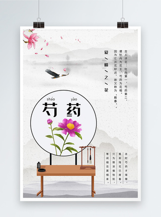 简洁芍药花海报图片