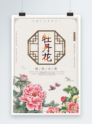 中国风牡丹花海报图片