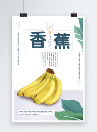 进口香蕉新鲜香蕉水果海报模板