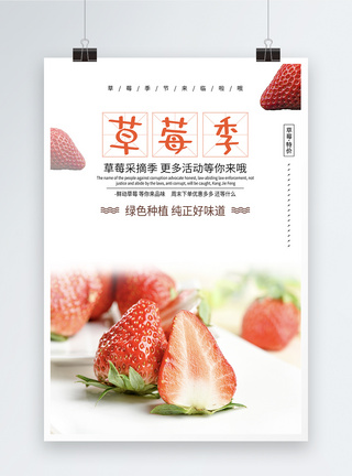 草莓季清新蔬果海报图片