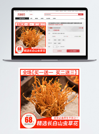 冷暖色调虫草花养生干货淘宝天猫京东主图模板