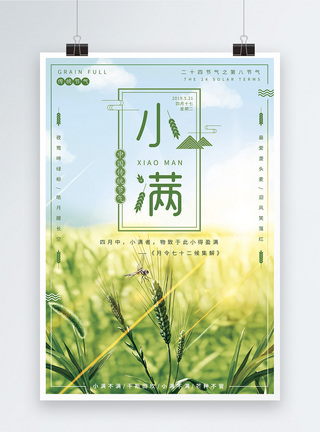 绿色麦子绿色清新二十四节气之小满海报模板