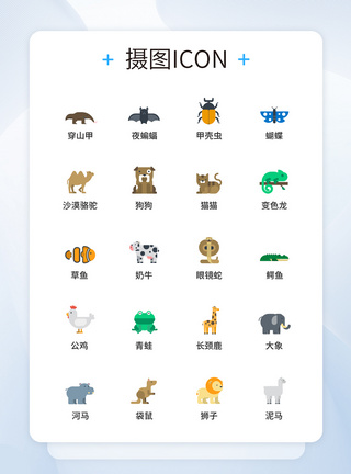 动物图标UI设计icon图标图片