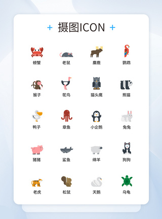 动物图标UI设计icon图标图片