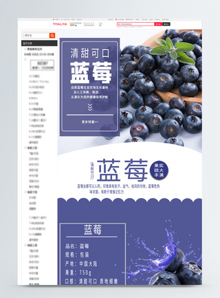 蓝莓水果淘宝详情页图片