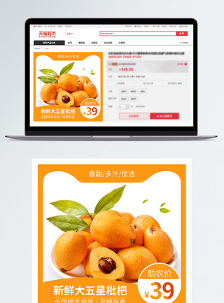 采枇杷水果枇杷促销淘宝主图模板