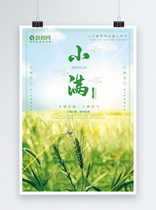中国传统节气小满节气海报模板
