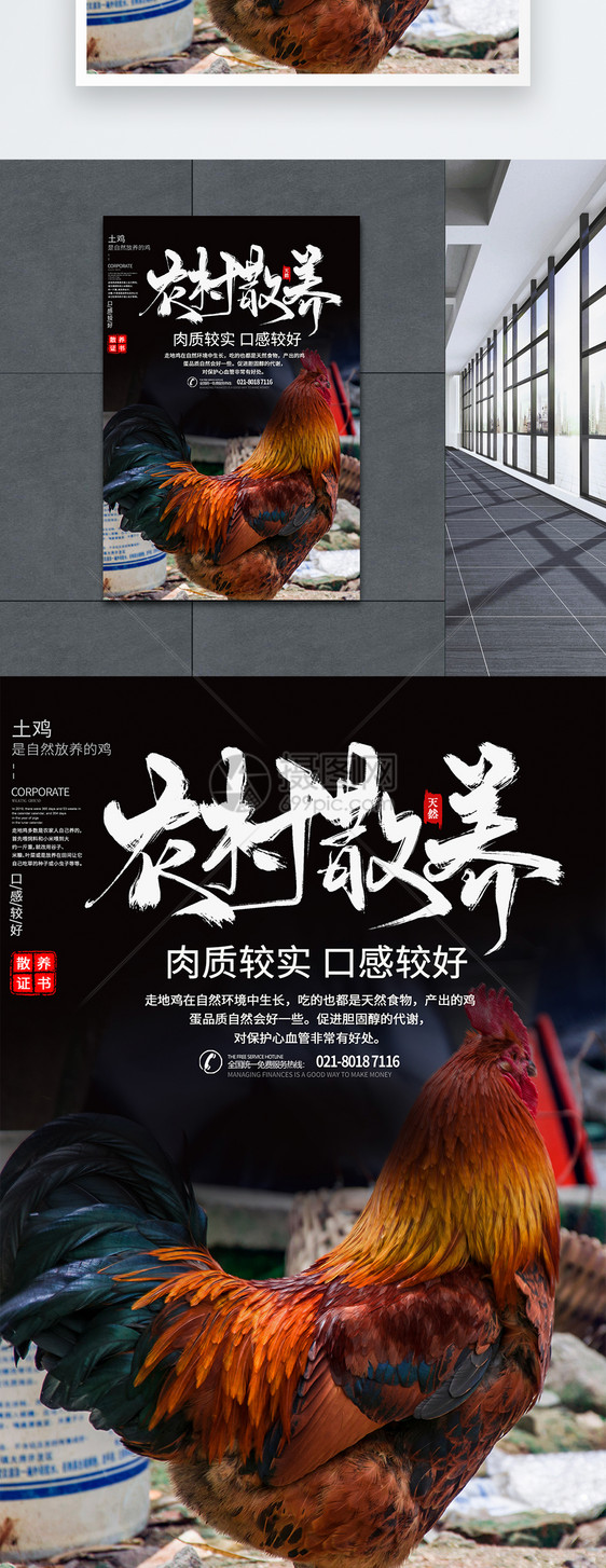 农村土鸡主题海报图片