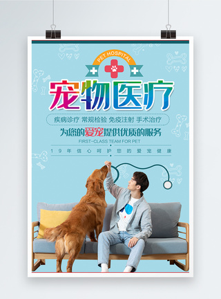 狗与猫宠物医疗海报模板