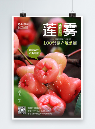 莲雾新鲜上市夏日水果促销海报图片