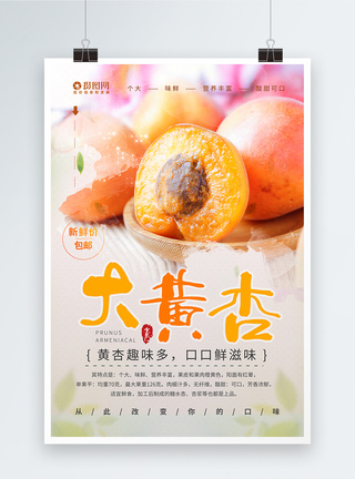 夏日水果大黄杏海报设计图片