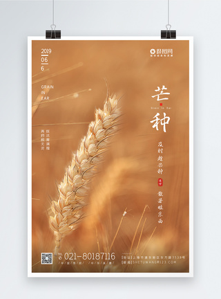 中国传统二十四节气之芒种海报图片