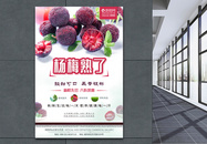 杨梅熟了上市夏日水果促销海报图片