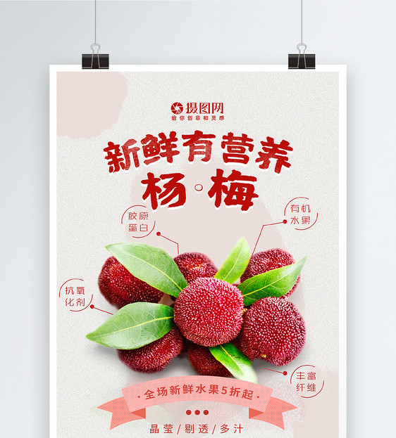 新鲜营养杨梅水果海报图片