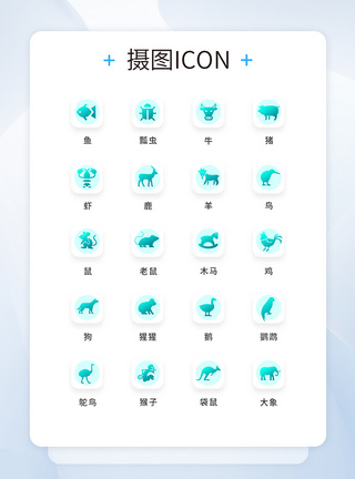 UI设计动物icon图标图片