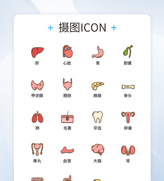 UI设计器官医疗图标icon图标设计图片