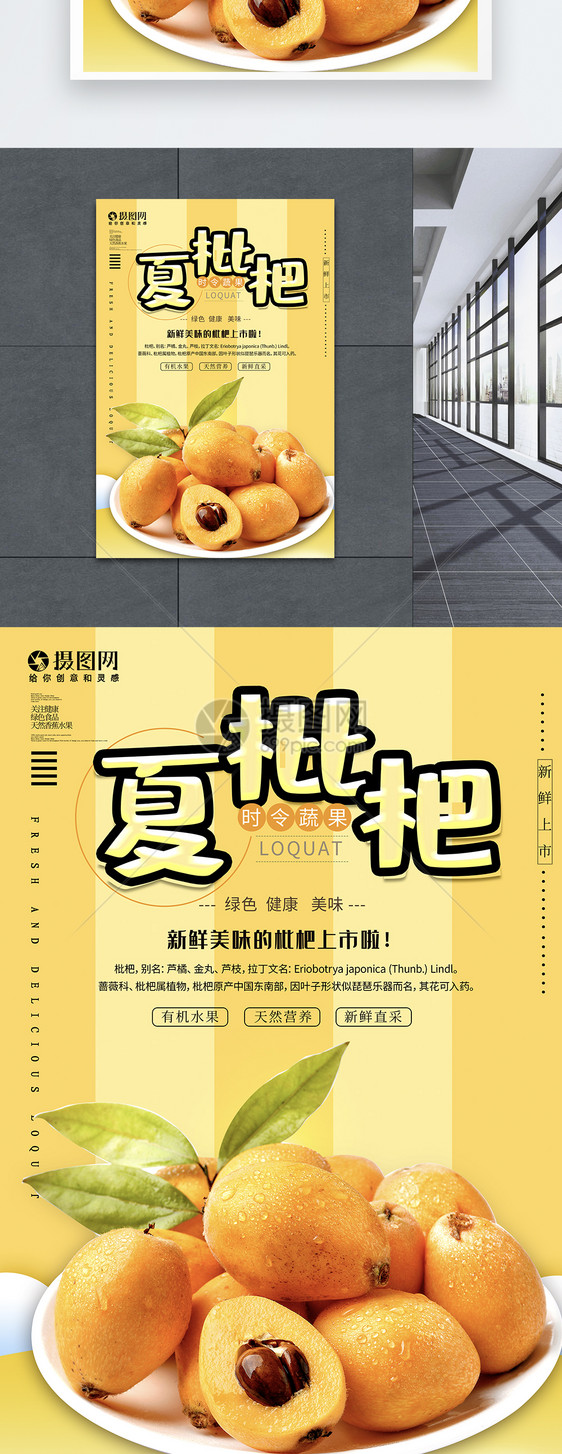 夏季枇杷水果海报设计图片