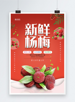 夏日水果酸甜杨梅海报图片