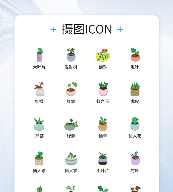 UI设计植物图标icon图标设计图片