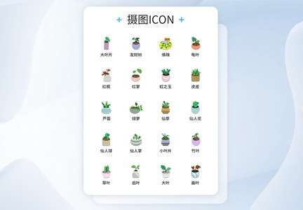 UI设计植物图标icon图标设计图片