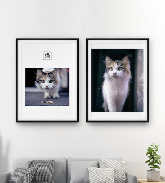 现代文艺宠物猫二联框装饰画图片