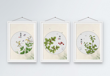 中草药植物装饰画图片