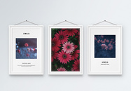 静物花朵三联框装饰画图片