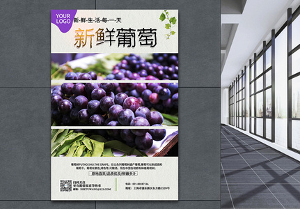 新品葡萄夏季水果上市海报图片