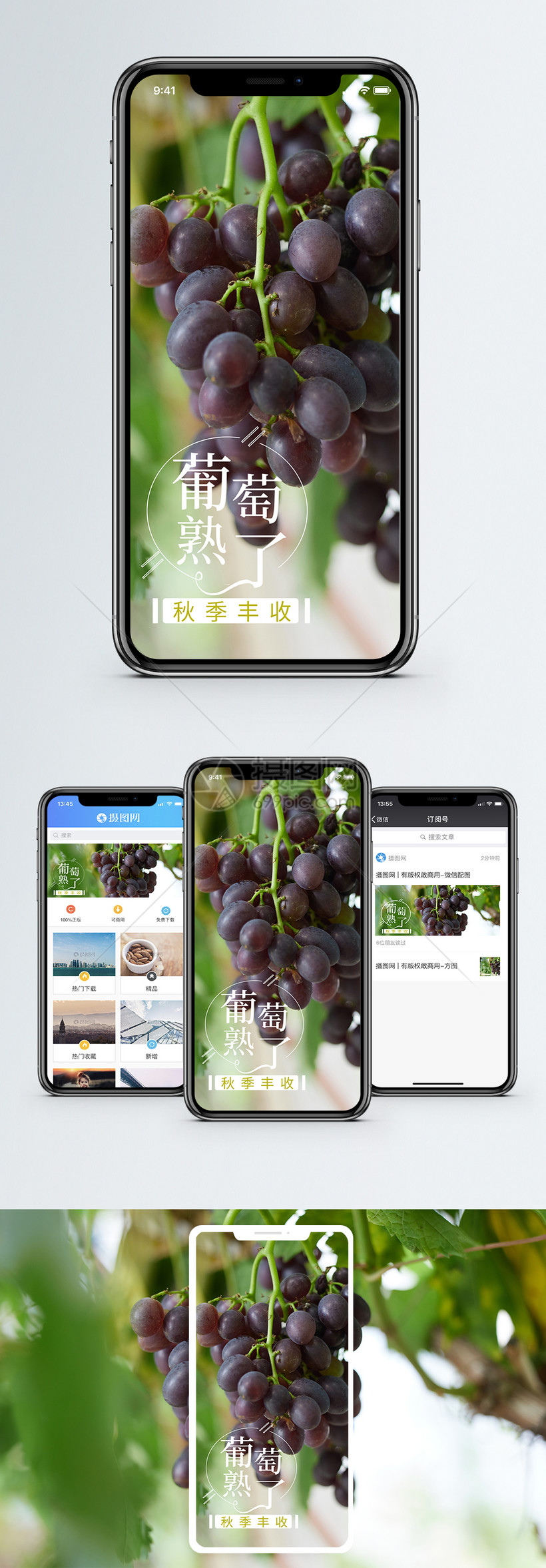 新鲜葡萄水果促销淘宝详情页