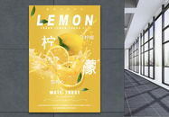 新鲜水果清新柠檬海报图片