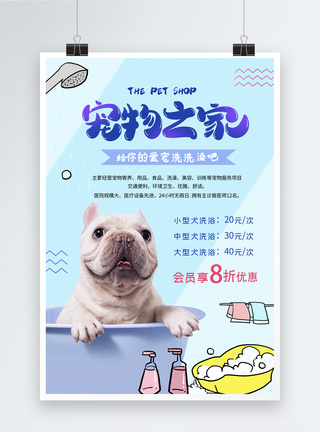 宠物美容海报宠物之家促销海报模板