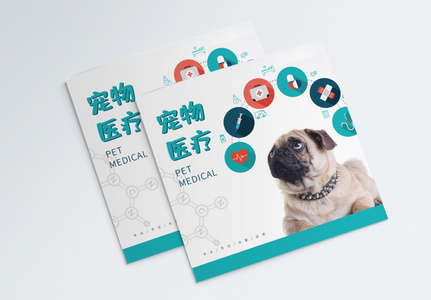 宠物医疗宣传画册封面图片
