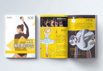 简约时尚舞蹈培训招生画册整套图片