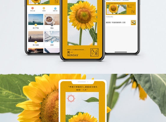 你好八月手机海报配图图片