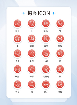 UI设计动物icon图标图片