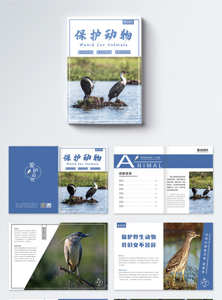 保护动物公益宣传画册整套公益画册高清图片素材