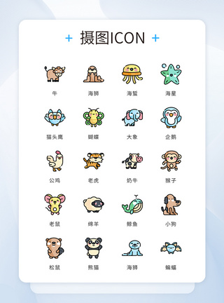 海星UI设计icon图标彩色卡通可爱动物模板