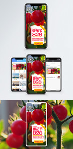 西班牙西红柿节手机海报配图图片