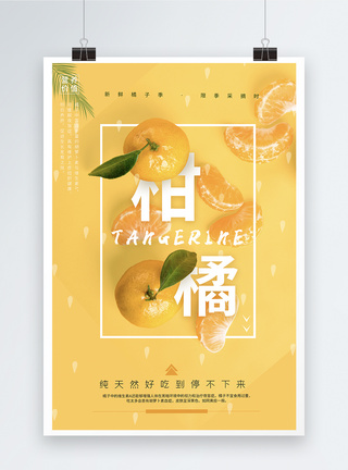 柑橘海报新鲜柑橘水果海报模板