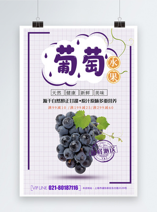 紫葡萄新鲜葡萄水果海报模板