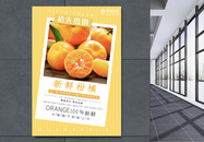 新鲜柑橘海报图片
