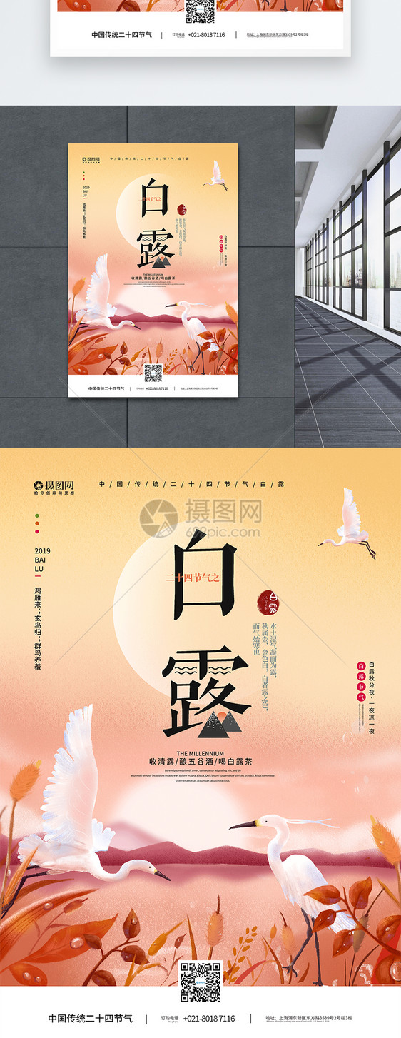中国传统二十四节气白露宣传海报图片
