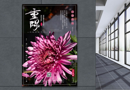 重阳节深秋赏菊宣传海报图片