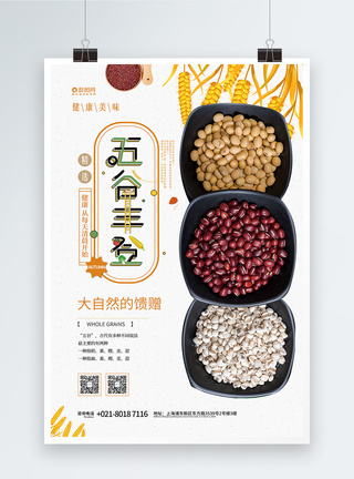 金豆子五谷杂粮海报设计模板
