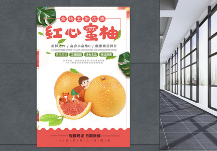红柚柚子水果海报图片