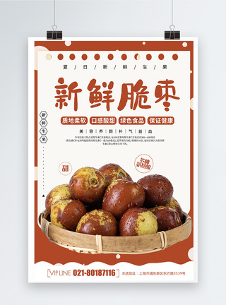 冬枣水果新鲜脆枣水果海报模板